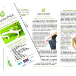 BelaTriFold Trifold Brochure Design