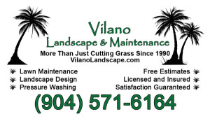 Vilano Landscape Business Card Design